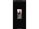 Zorro YBR 125 cc - 5. fotoğraf