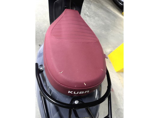 Kuba bluebird - 14. fotoğraf