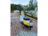 Arora dazzle  - 4. fotoğraf