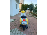 Arora dazzle  - 3. fotoğraf