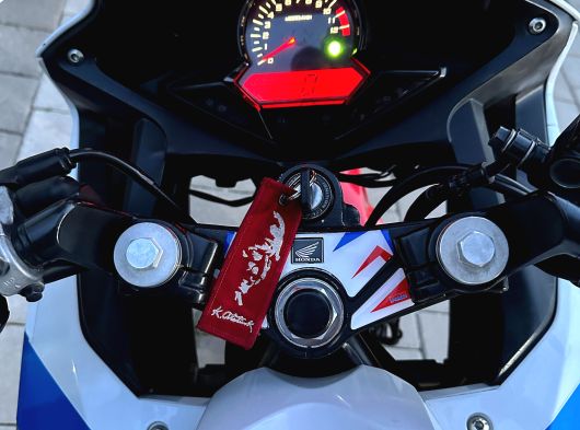 TEMİZ CBR 250R