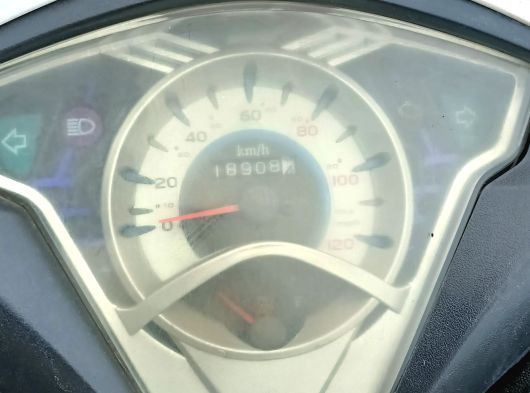 Acil bakımlı zenzero  - 20. fotoğraf