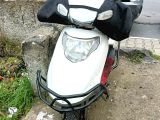 Acil bakımlı zenzero  - 5. fotoğraf