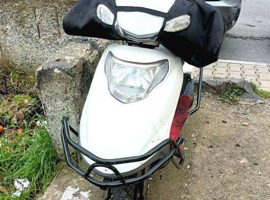 Acil bakımlı zenzero  - 15. fotoğraf