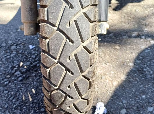 Temiz 80 cc blueberry