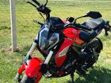 Benelli 125 s B sınıfı ehliyetlere uygun  - 7. fotoğraf