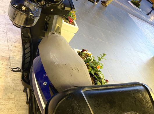Mondial 150 cc kurye motoru - 10. fotoğraf