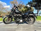 Acil Harley Davidson 883 