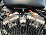 Acil Harley Davidson 883  - 9. fotoğraf