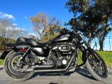 Acil Harley Davidson 883  - 8. fotoğraf