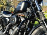 Acil Harley Davidson 883  - 5. fotoğraf