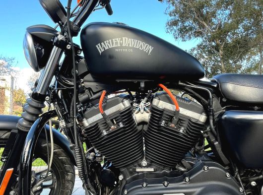 Acil Harley Davidson 883  - 12. fotoğraf