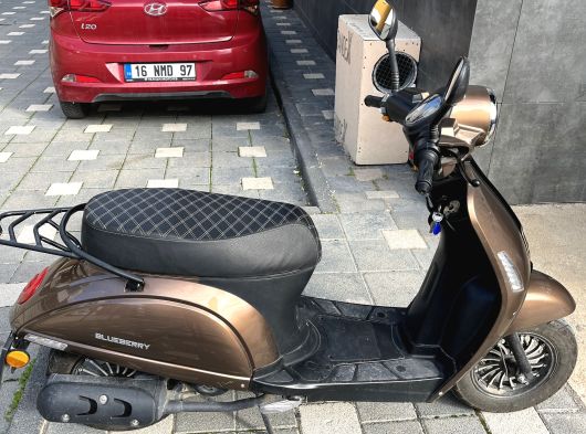 Düşük kilometre kuba blueberry