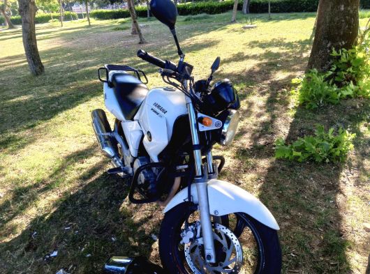 YBR250