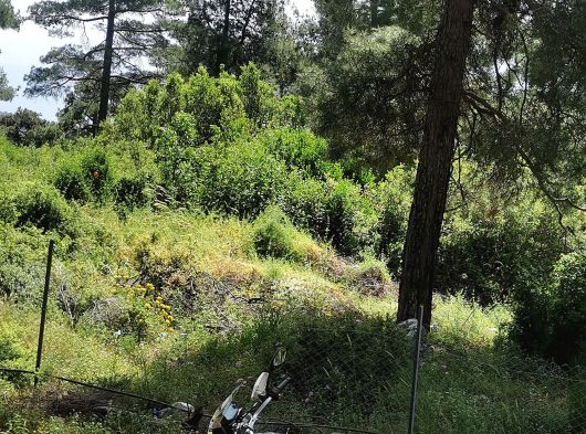 Masrafsız xpulsa 200 - 34. fotoğraf