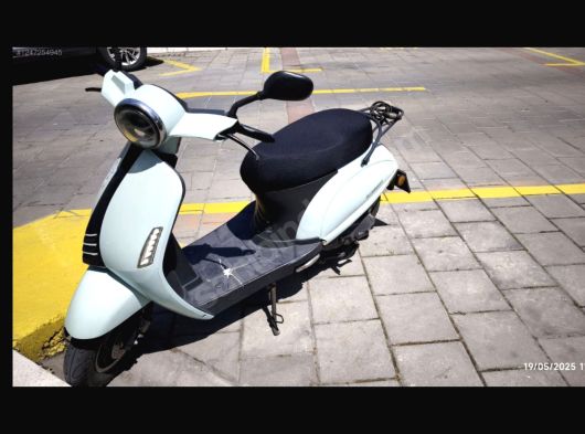 Kuba blueberry 50cc